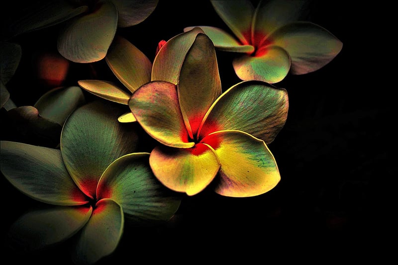 Flowing Movements